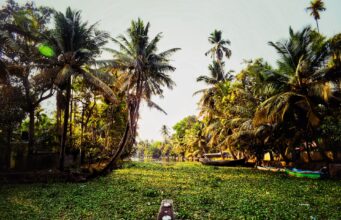 Top 10 Places You Need to Visit in India Alleppey, India