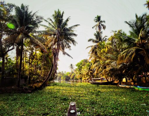 Top 10 Places You Need to Visit in India Alleppey, India