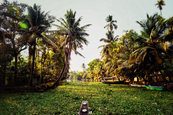 Alleppey, India